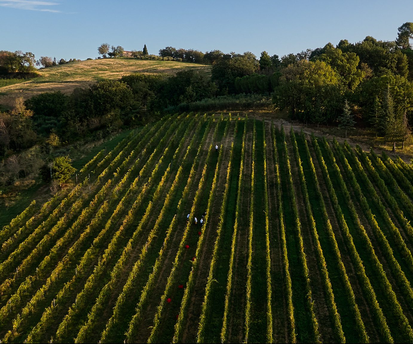DJI_0344